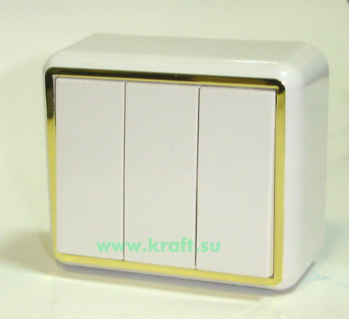 *Выкл. 3-х кл. А510-255 "З" "Белла" ВОС