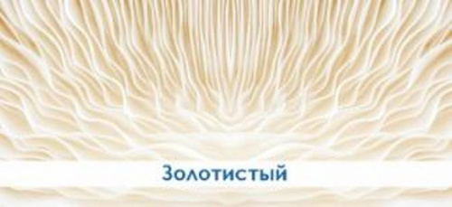 Экран д/ванн "Премиум А" золотистый 1,68м, мин.упак(2)