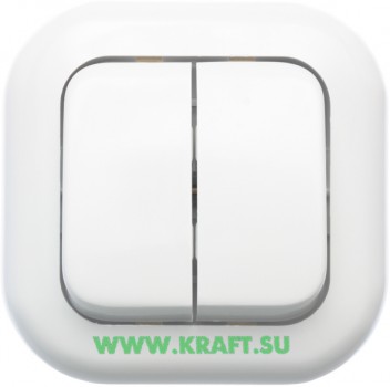 * Выключатель 2-х кл. А510-235 брызгозащищенный ВОС
