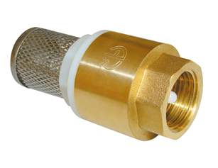 Клапан обратный 3/4 с сеткой AQualink